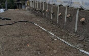 Tirants Câbles + BP - BOIS-COLOMBES (92) - Hauts-de-Seine