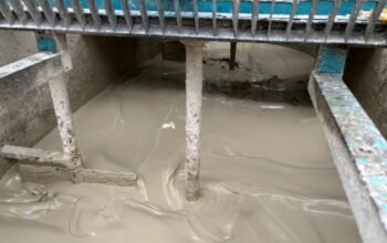 Comblement d&rsquo;une carrière - MESNIL-LE-ROI (78) - Yvelines