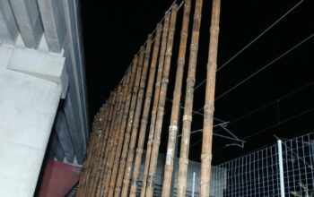 TGV – Micropieux jointifs - ANNET-SUR-MARNE (77) - Seine-et-Marne